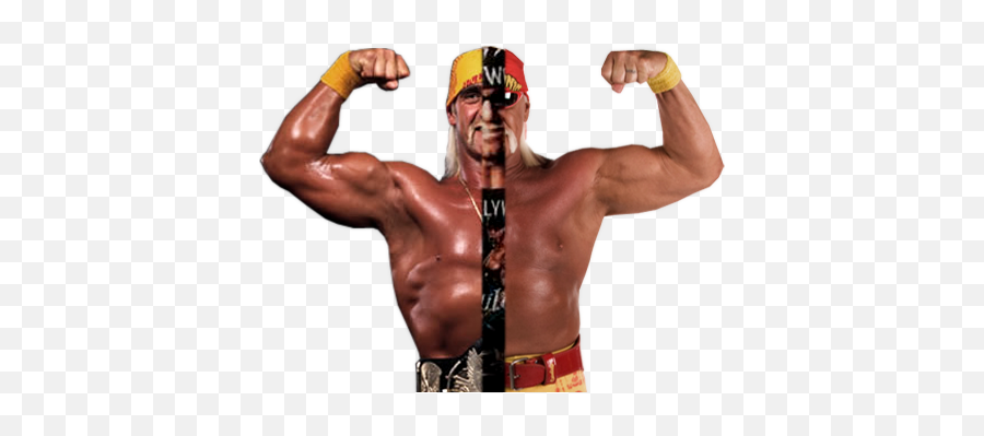 Download Hd Hulk Hogan Face Png Vector - Nwo Hogan Png,Hulk Hogan Png