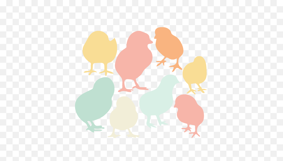 Svg Cut Files Free Svgs Cuts - Silhouette Baby Chick Svg Png,Baby Chick Png