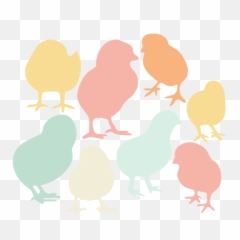 Svg Cut Files Free Svgs Cuts - Silhouette Baby Chick png