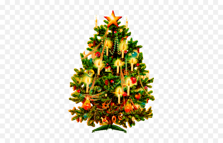 Imagenes Gif De Arboles Navidad Con - Victorian Era Christmas Trees Png,Arbol De Navidad Png