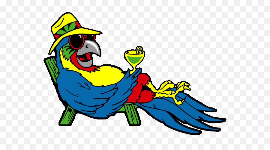Parrot Cartoon Head Funny Parrots - Clipart Jimmy Buffett Parrot Png,Jimmy Buffett Logo