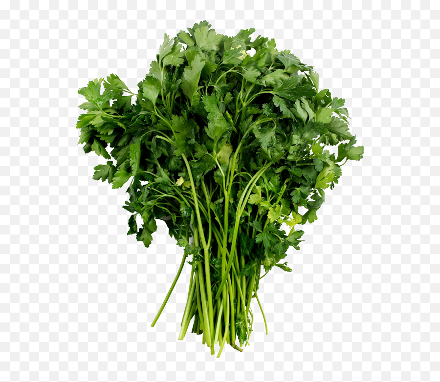 Parsley - Png From Top Vegetables,Parsley Png