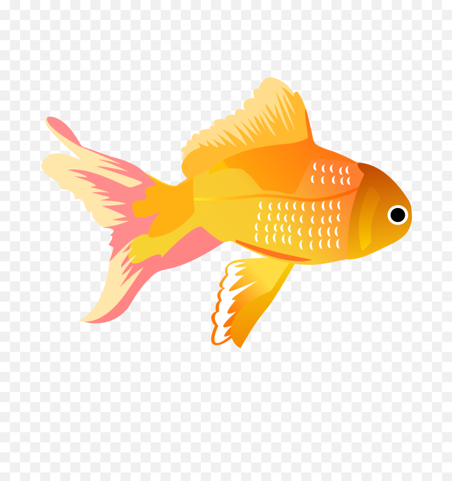 Free Png Fishes - Konfest Vector Images Of Fish,Vectors Png