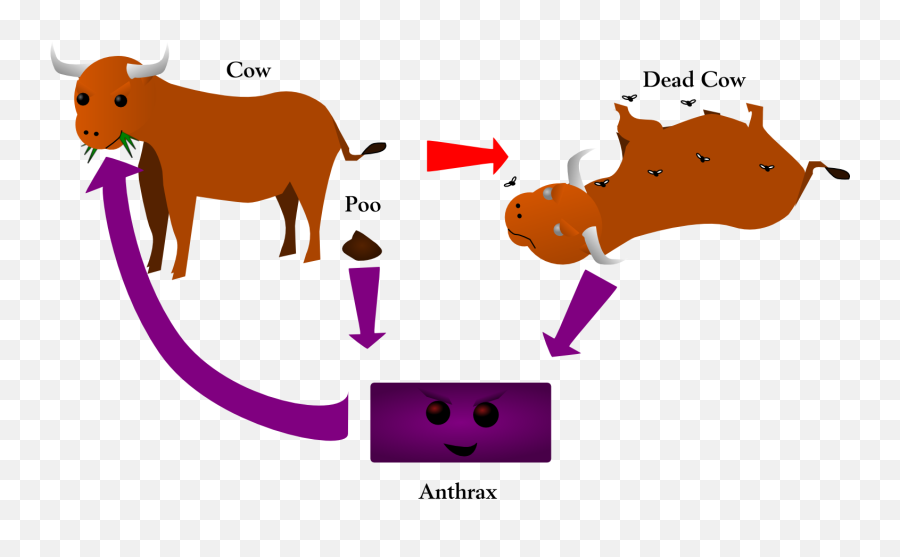 Dead Clipart Bacteria - Icon Dead Cow Png Download Dead Cow Icon,Cow Icon