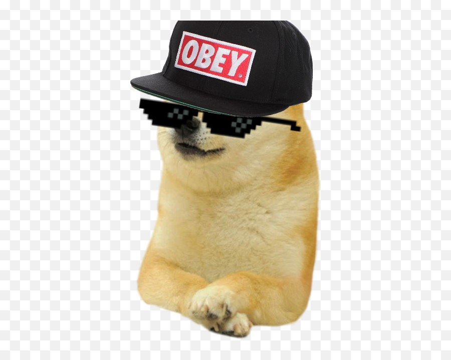 Pet Simulator Tynker - Doge Meme Template Png,Obey Hat Transparent