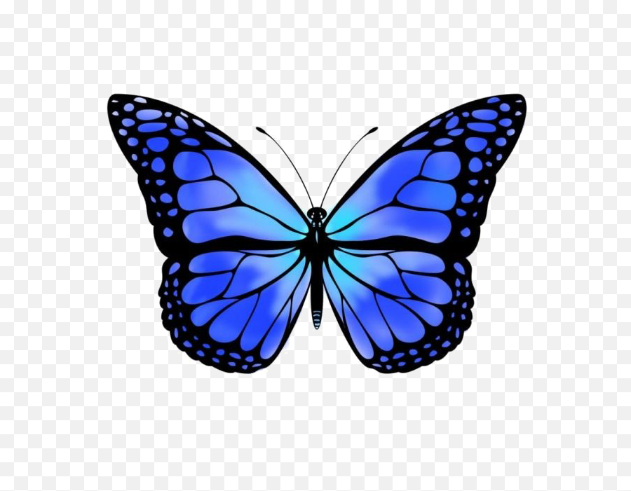 Blue Butterfly Free Png Image - Blue Monarch Butterfly Png,Blue Butterflies Png