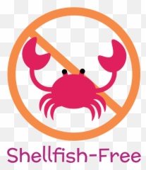 Nomster Chef Recipes For Kids Fun Food - Shellfish Free png