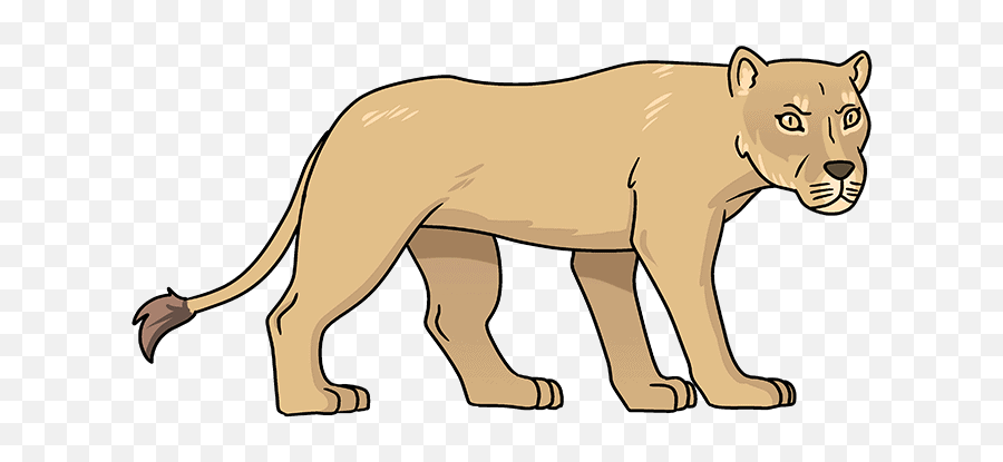 How To Draw A Lioness - Really Easy Drawing Tutorial Draw A Lioness Easy Png,Lioness Icon