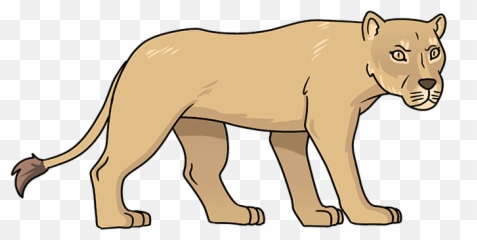 How To Draw Lioness - Really Easy Drawing Tutorial A png