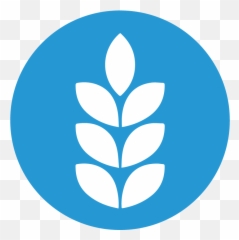 Learn U2014 Craft Microbiome - Language png