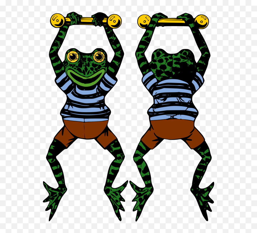 Endangered Blue Poison Dart Frog Png Svg Clip Art For Web - Hanging Frog Clipart,Kermit Icon