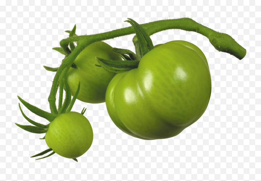 Green Tomato Png - Green Tomato Png,Tomato Clipart Png