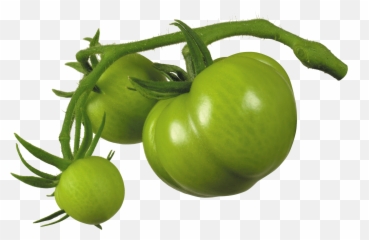 Green Tomato Png - Green Tomato Png,Tomato Clipart Png