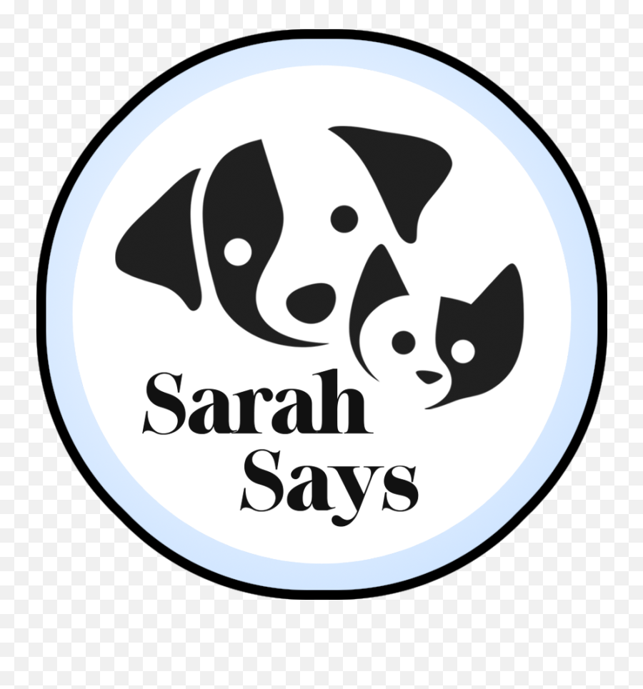 Rats U2014 Doglandia Sarah Says Pets - Companion Dog Png,Rats Png