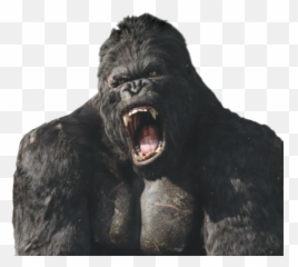 Old School Cartoons Monkey - King Kong Head Png,Kong Png