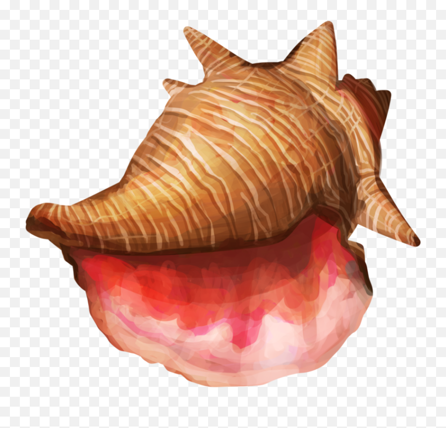 Conch Shell Png High - Conch Shell Png,Shell Png