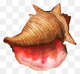 Conch Shell Png High - Conch Shell Png,Shell Png