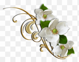 Library Of White Flower Graphic Png - Gold