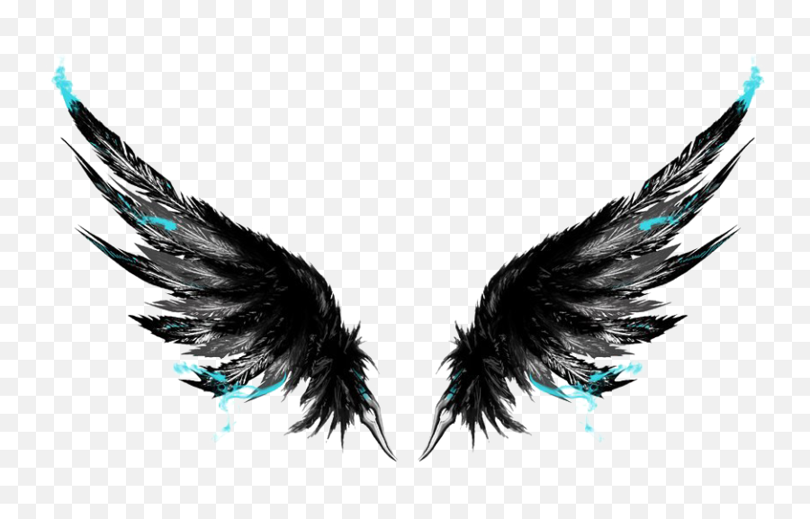 Black Wings Png Picture - Got Broken Wings But I M Still Flying,Wing Png