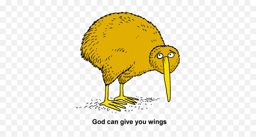 Kiwi - Golden Kiwi Bird Png,Kiwi Bird Png