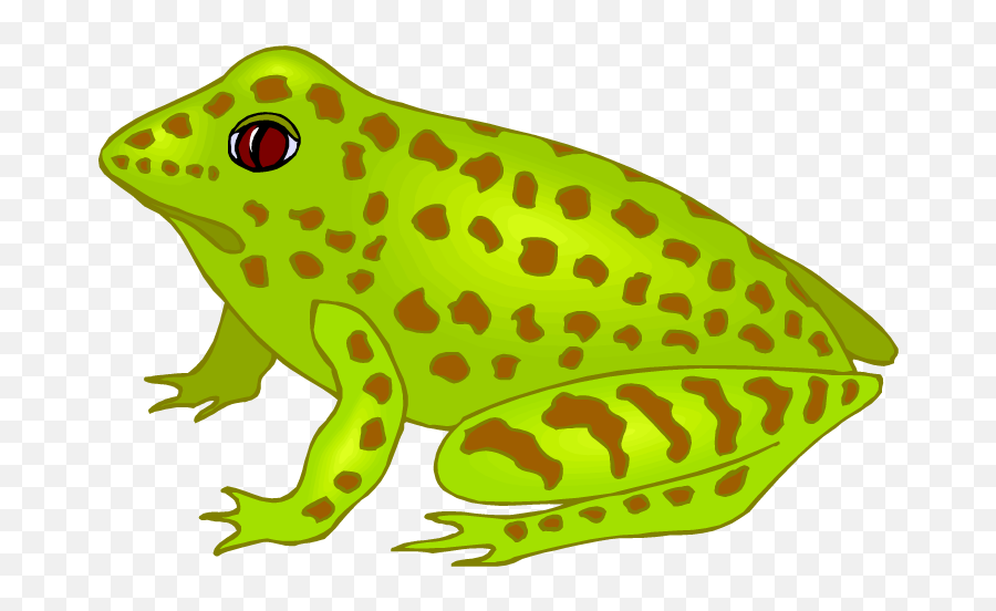 Spotted Frog Clipart Png Image - Frog Clipart,Frog Clipart Png