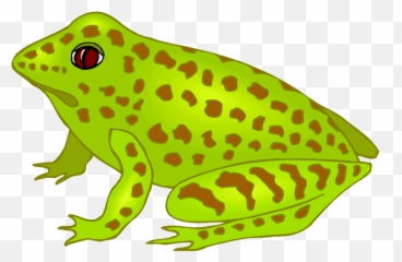 Spotted Frog Clipart Png Image - Frog Clipart,Frog Clipart Png