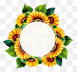 Free Png Floral Frame - Konfest Sunflower