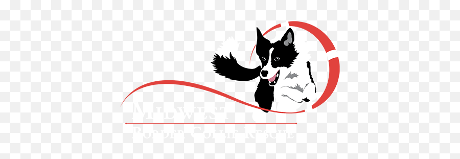 Midwest Border Collie Rescue - Border Collie Jump Logo Png,Border Collie Png