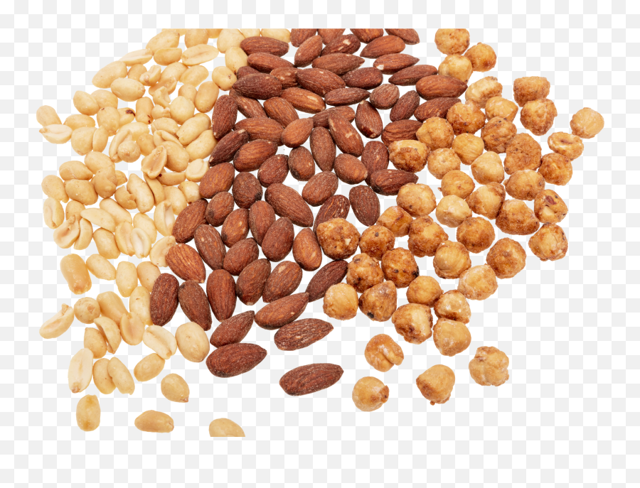 Nut And Seed Processing Plants Bühler Group - Small Nuts Png,Nuts Png