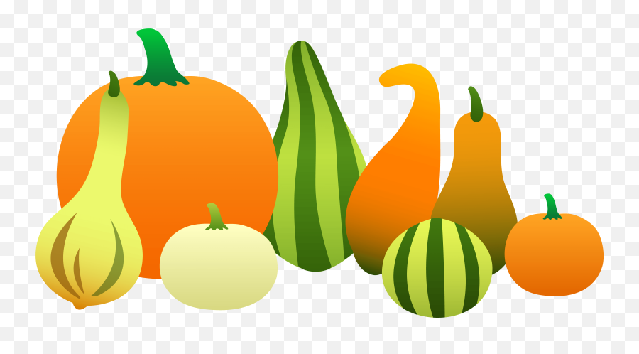 Fall Food Clipart - Pumpkins And Gourds Clipart Png Thanksgiving Clip Art,Pumpkins Png