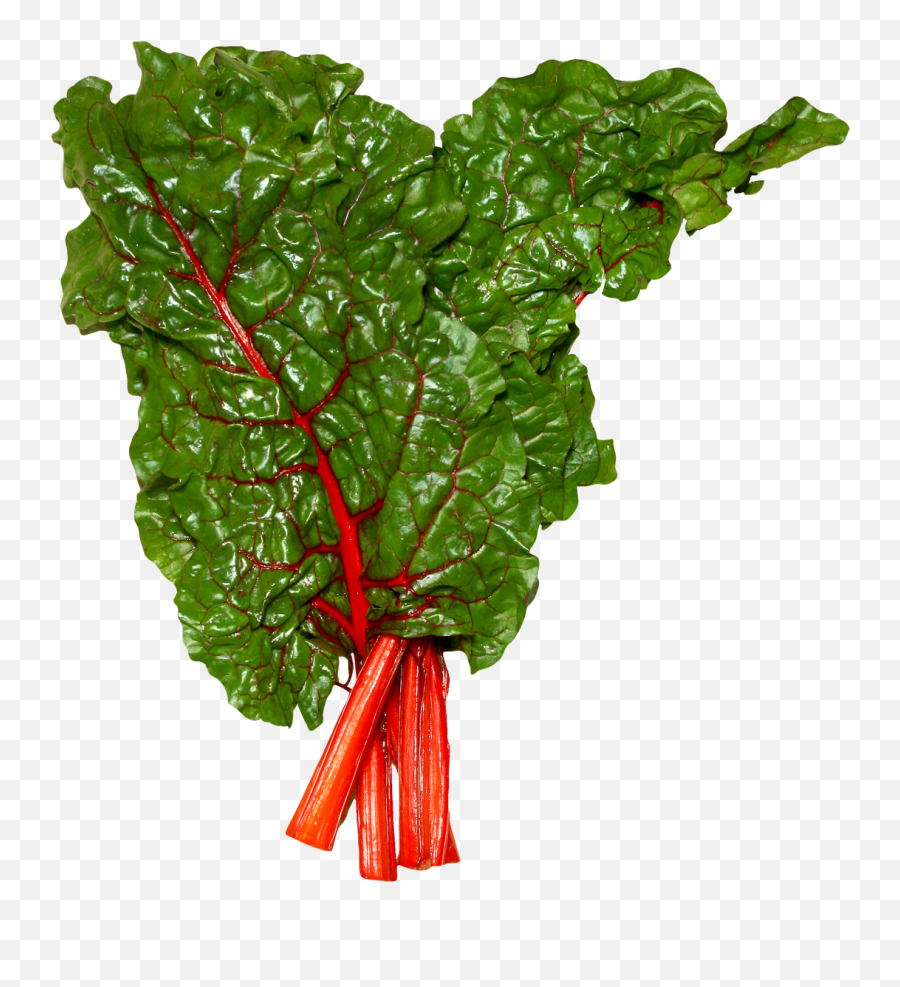 Download Fresh Swiss Chard Png Image For Free - Swiss Chard Clipart,Fresh Png