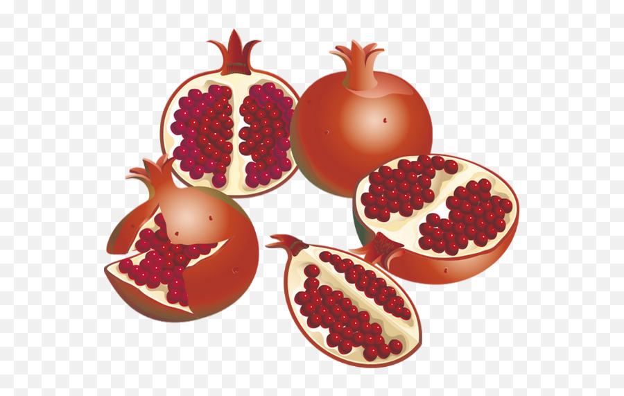 Tube Fruit Grenade Png Melograno Pomegranate - Pomegranate,Pomegranate Png