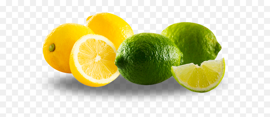Twisted Citrus - Key Lime Png,Limes Png
