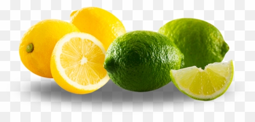 Twisted Citrus - Key Lime Png,Limes Png