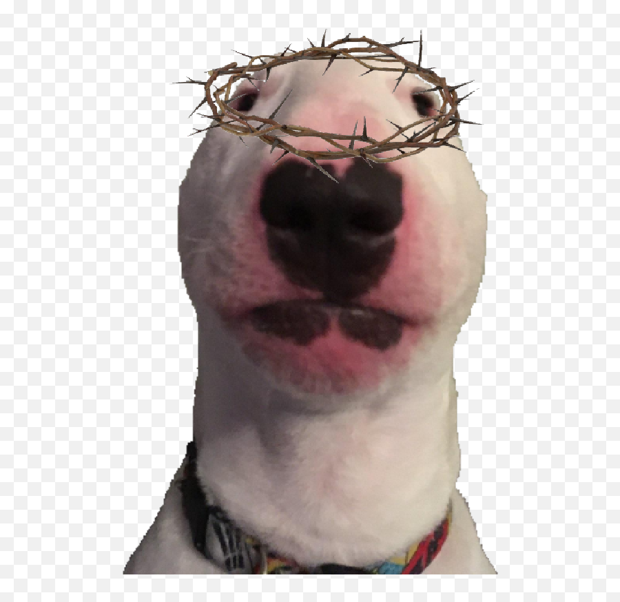 Bull Terrier Png Transparent - Walter The Dog,Kanye West Head Png