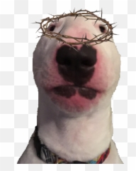 Bull Terrier Png Transparent - Walter The Dog