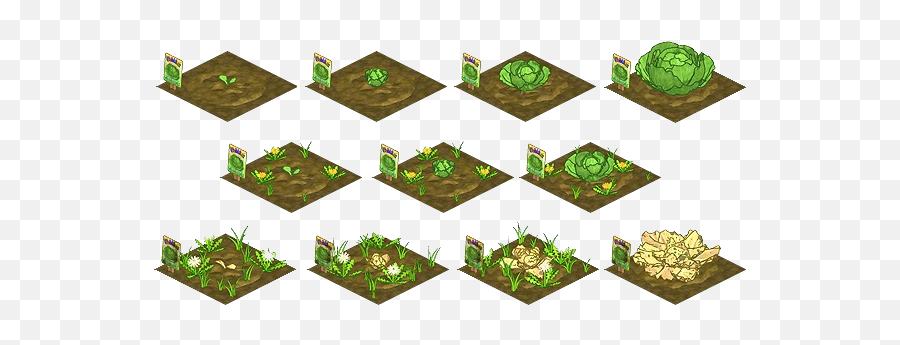 Gardening - Webkinz Insider Wiki Growing Cabbage Stages Png,Growing Plant Png
