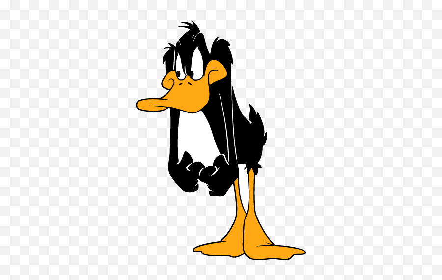 Related Pictures Daffy Duck Angry So - Daffy Duck Png,Daffy Duck Png