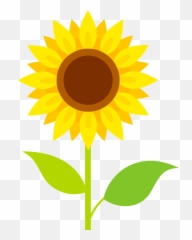 Sunflower Clipart Free Download Transparent Png Creazilla - Transparent Background Clipart