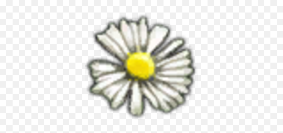 White Myrtle Petals Witcher Wiki Fandom - Petal Png,Flower Petal Png