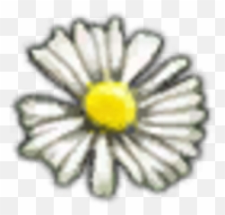 White Myrtle Petals Witcher Wiki Fandom - Petal png
