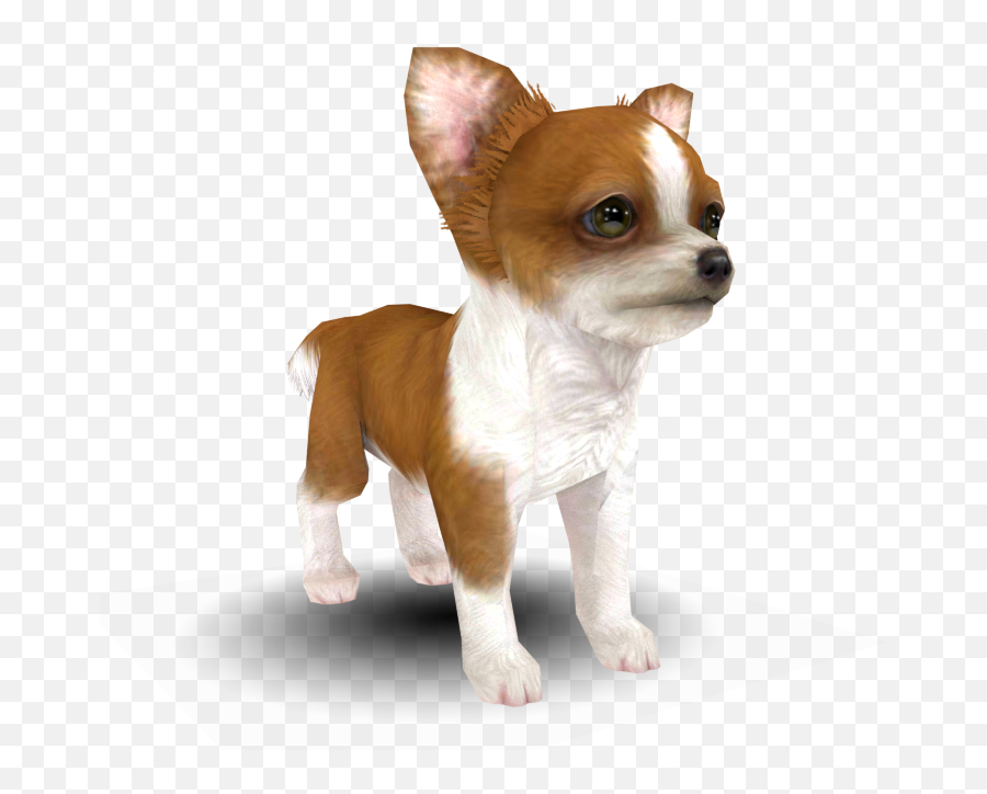 3ds - Nintendogs Cats Chihuahua The Models Resource Nintendogs Cats Chihuahua Png,Chihuahua Png