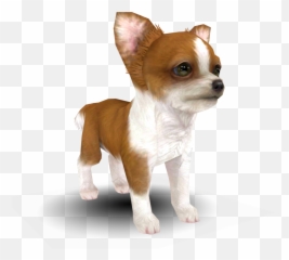 3ds - Nintendogs Cats Chihuahua The Models Resource Nintendogs Cats Chihuahua Png,Chihuahua Png