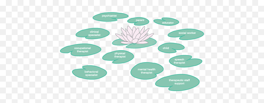 Lilypad U2014 Gabriela Marcu - Diagram Of A Lilypad Png,Lily Pad Png