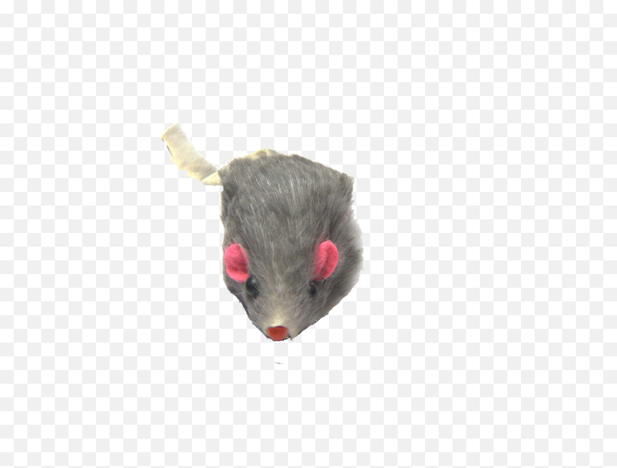 Mouse Animal Png - Soft,Mouse Animal Png