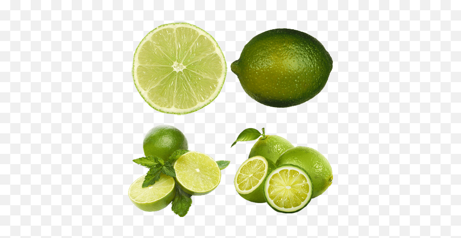 Limes Transparent Png Images - Stickpng Lime Slice,Lime Slice Png