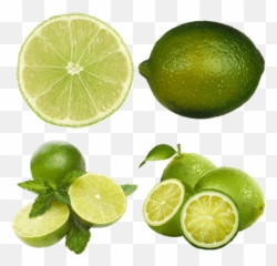 Limes Transparent Png Images - StickPNG Slice