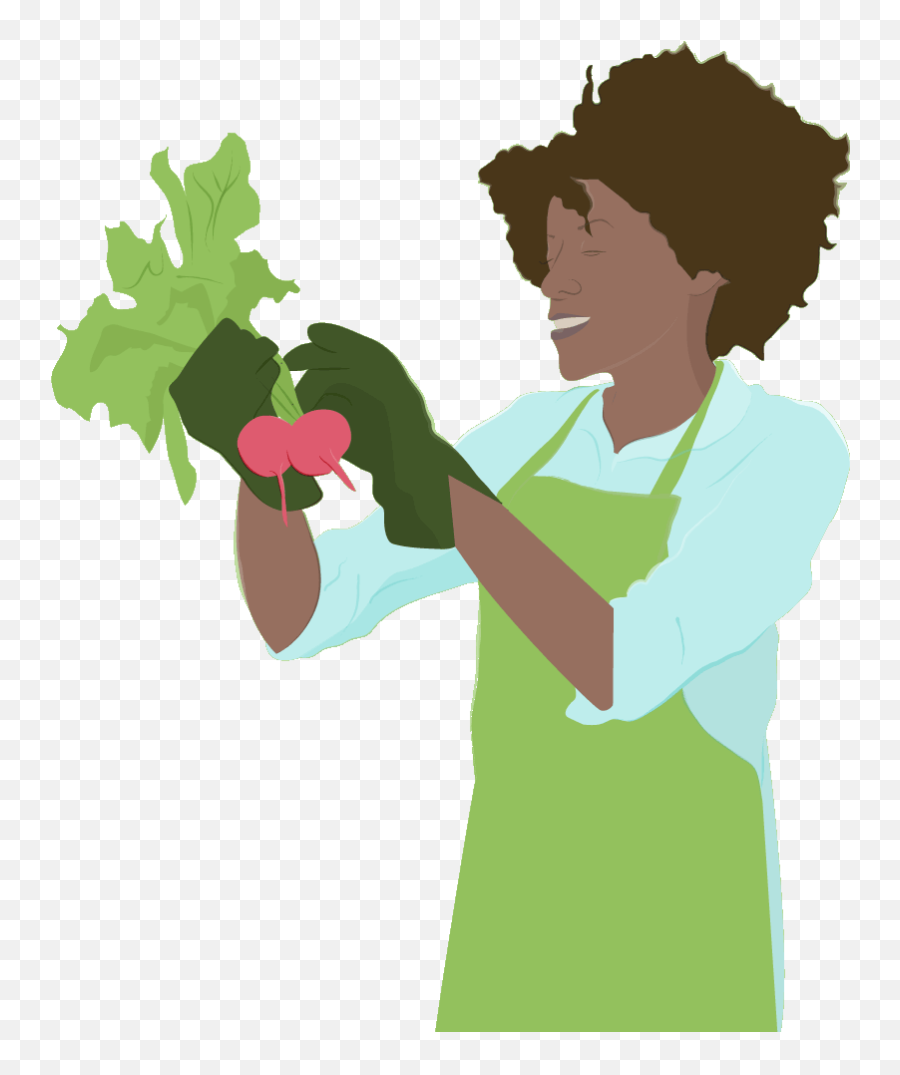 Vegetable Plants Online Propagation Place - Illustration Png,Vegetable Garden Png