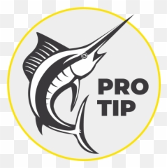 Freshwater Bait - Fishing Basics Fishmaster Blog Swordfish png