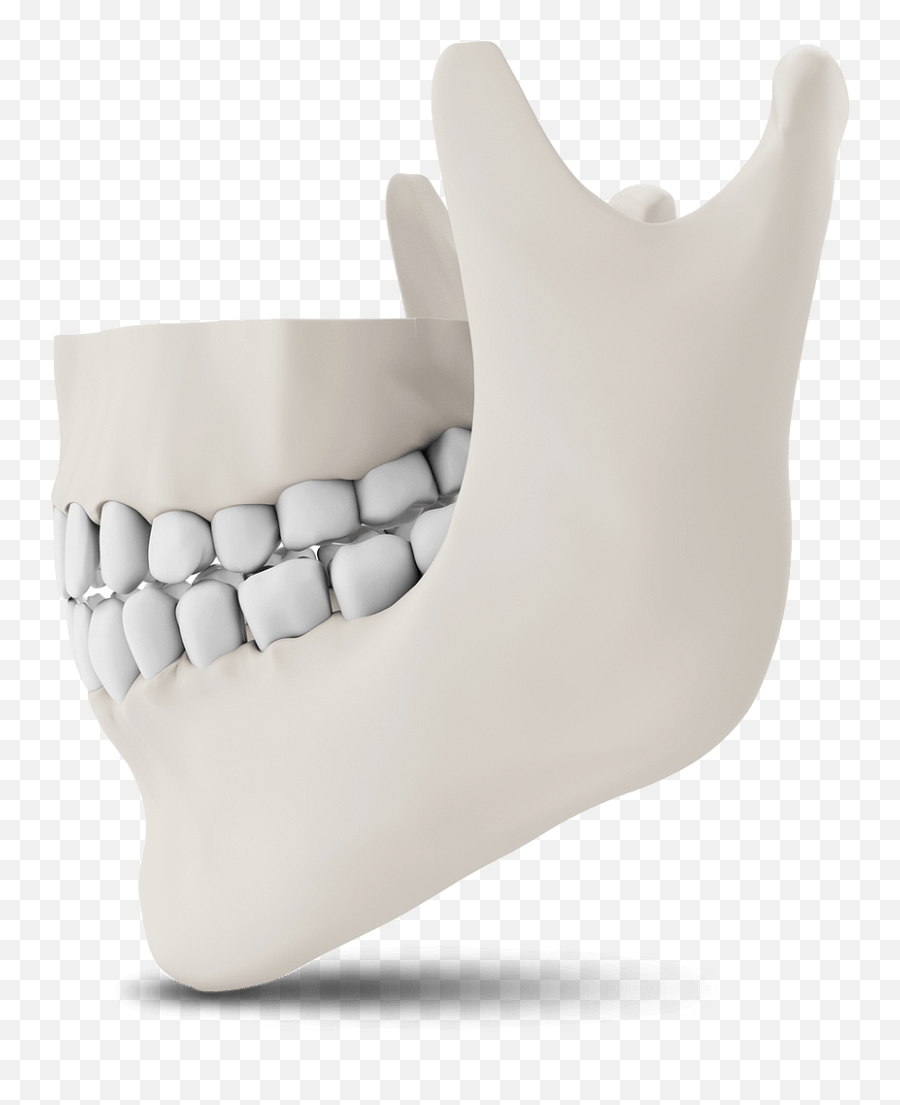 Tmj Treatment Arroyo Grande Ca Bauer Dental Center - Horizontal Png,Jawbone Icon Loop